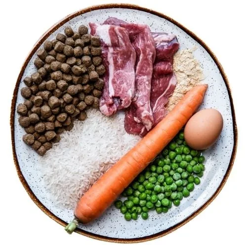 si 2025 09 JHB dog food