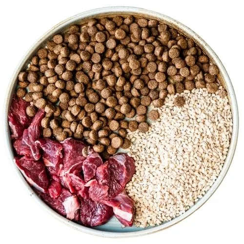 si 2025 09 JM dog food