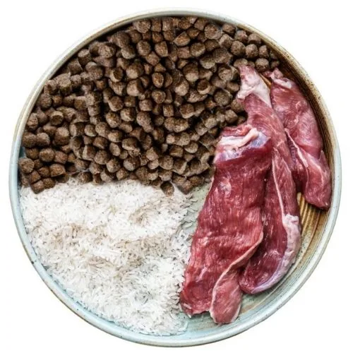 si 2025 09 OB dog food