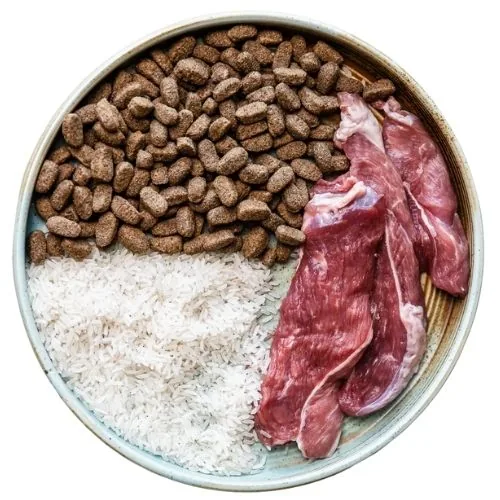 si 2025 09 TB dog food