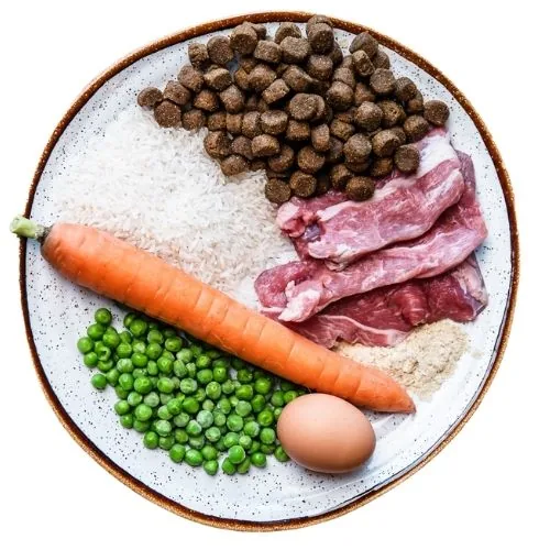 si 2025 09 THB dog food