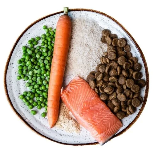si 2025 09 THL dog food