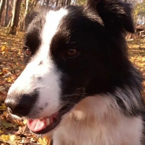 si 2025 09 THM 2