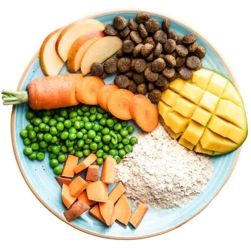 si 2025 09 THR dog food