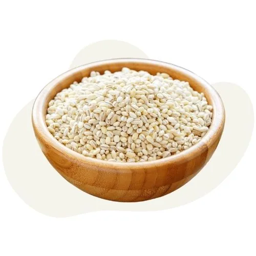 si 2025 09 barley