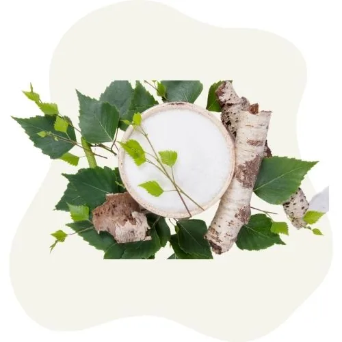 si 2025 09 birch leaf