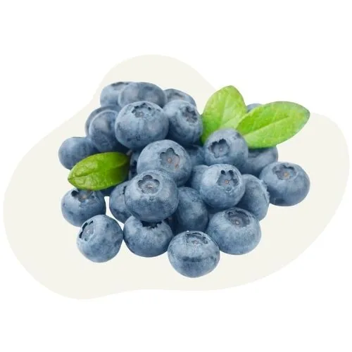 si 2025 09 black cranberry
