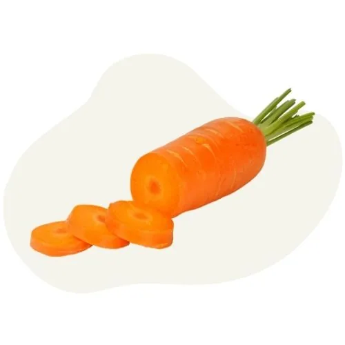 si 2025 09 carrot