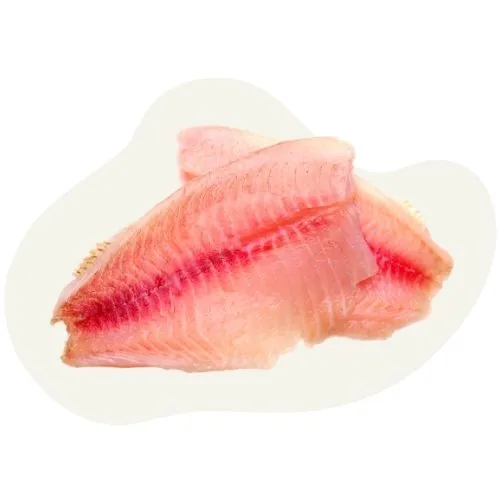 si 2025 09 catfish