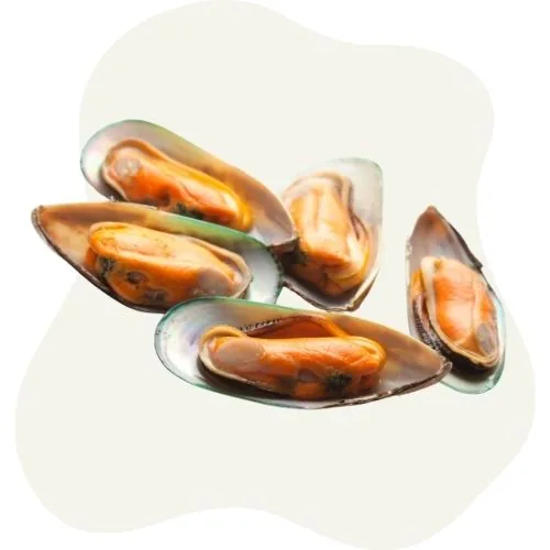 si 2025 09 green lipped mussel