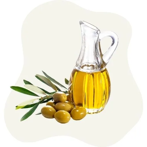 si 2025 09 olive oil