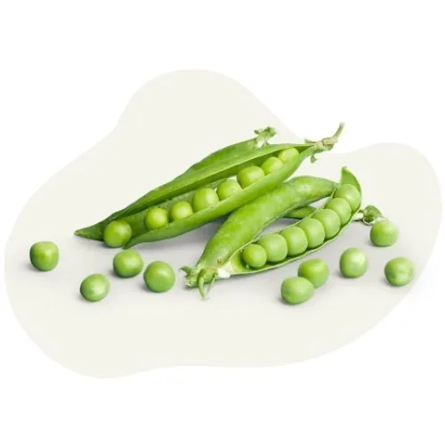 si 2025 09 peas