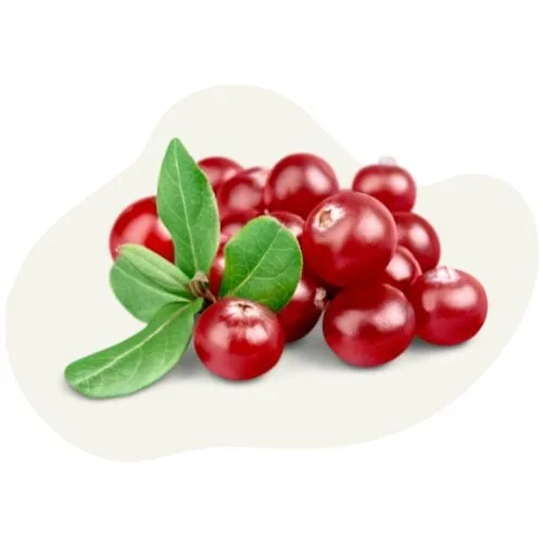 si 2025 09 red cranberry