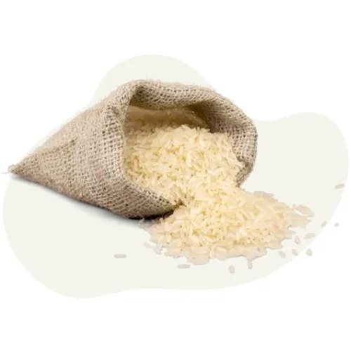 si 2025 09 rice