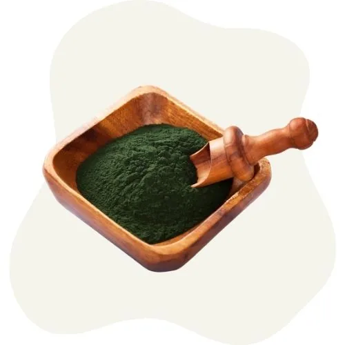si 2025 09 spirulina