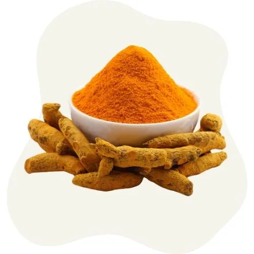 si 2025 09 turmeric