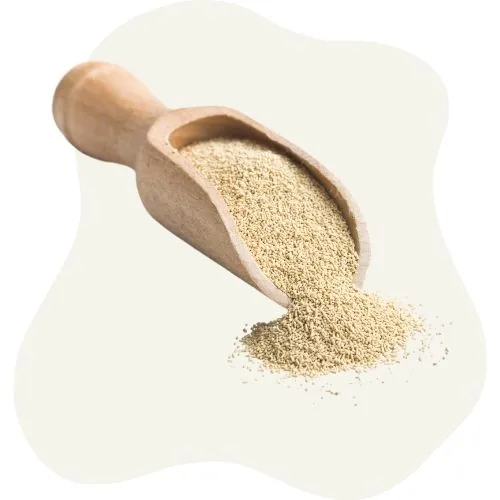 si 2025 09 yeast