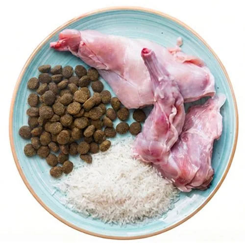 si 2026 04 THNY dog food ingredients