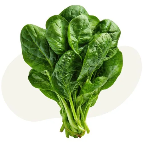 si 2026 05 spinach